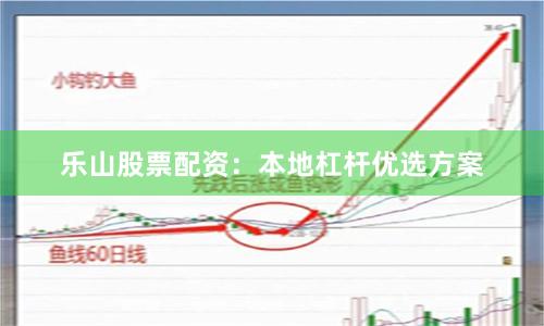 乐山股票配资：本地杠杆优选方案